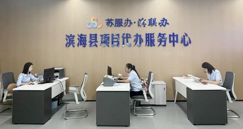濱海持續(xù)擦亮“濱聯(lián)代辦”服務(wù)品牌，提升商務(wù)代理代辦服務(wù)水平