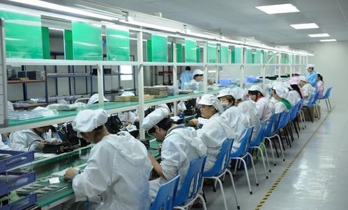 從賭場(chǎng)深淵到電子廠救贖 一個(gè)廣東靚仔的“生活真諦”